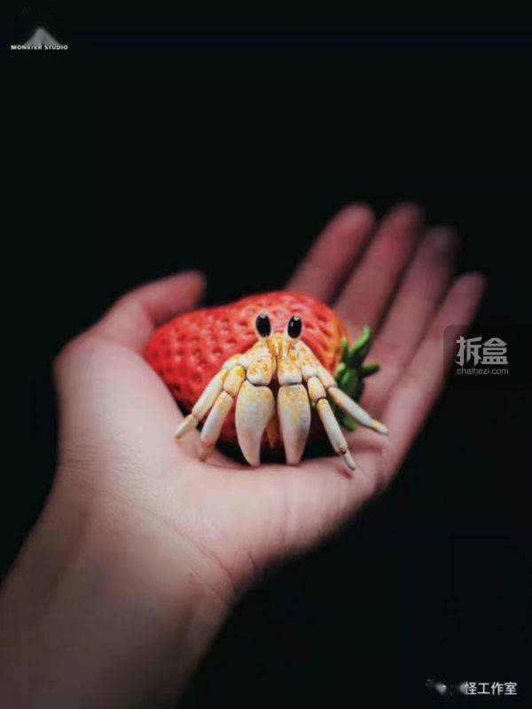 动物园|麓野文化 x 大怪动物园 草莓寄居蟹 仿真动物模型GK