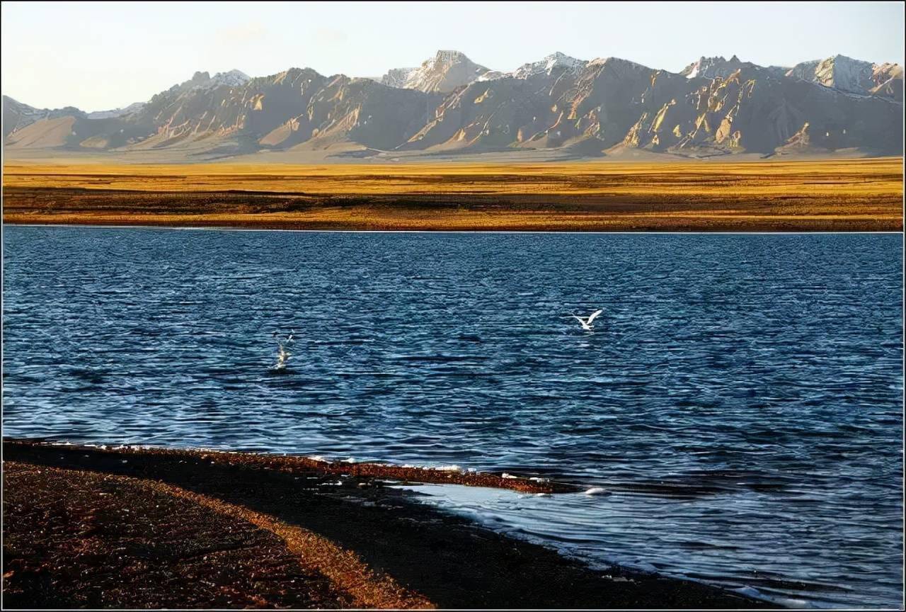 这个湖的神奇之处在于,它西部为咸水,东部为淡水,东湖鸟禽翩翩,西湖