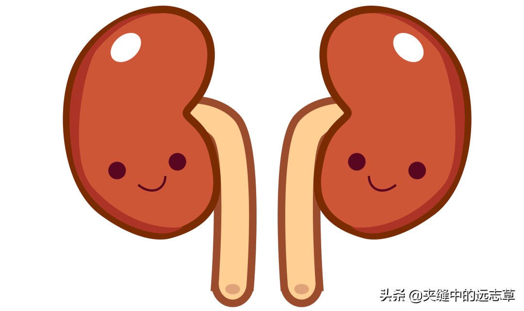 目昏目干迎风爱流泪送你八味中药养心神补肝肾