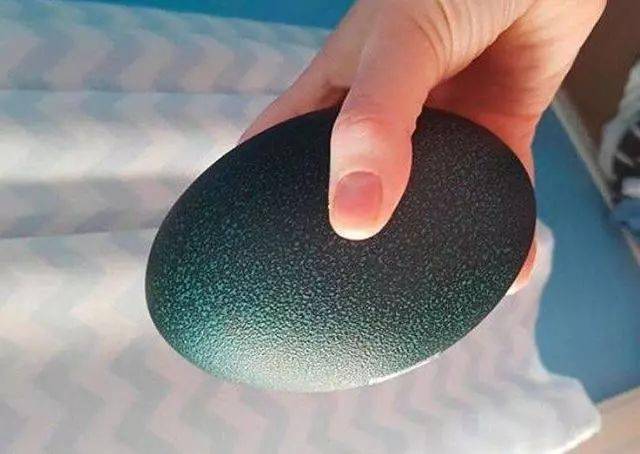 23张证明人类还没搞懂这世界的不可思议照片_龙趸鱼_鲸鱼_牙齿