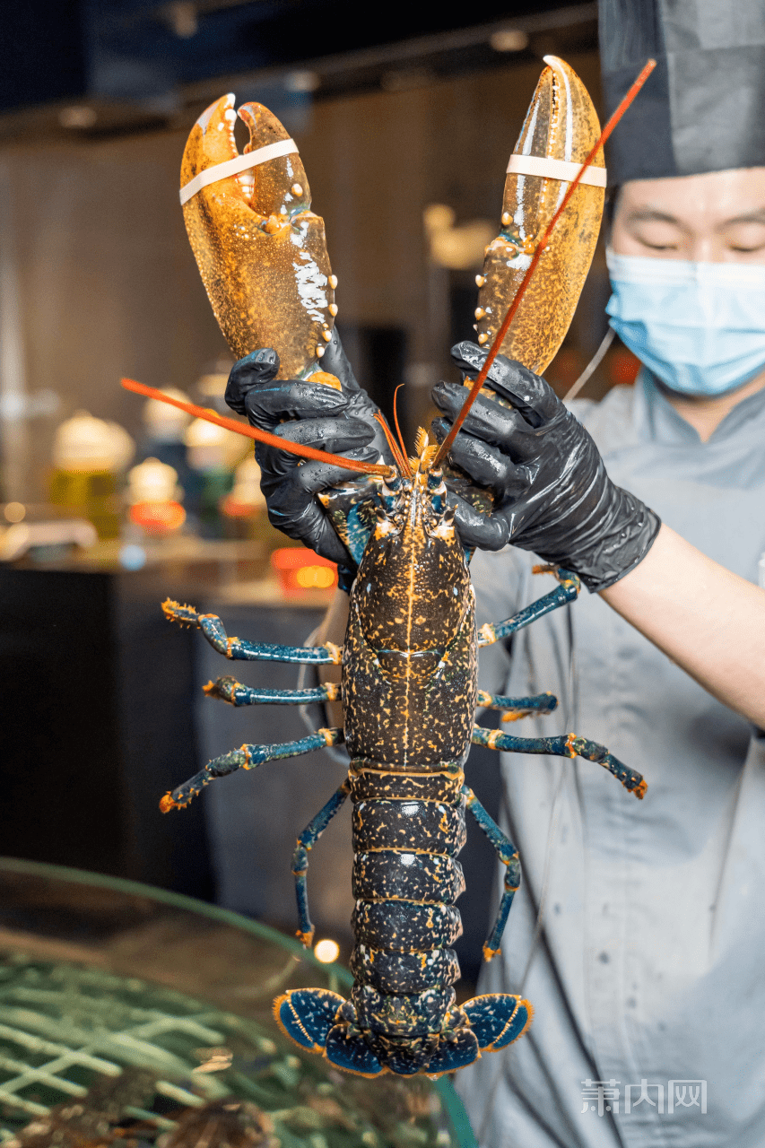 阿拉斯加帝王蟹,澳洲龍蝦,澳洲皇帝蟹,深海東星斑,吉拉多生蠔,黑金鮑