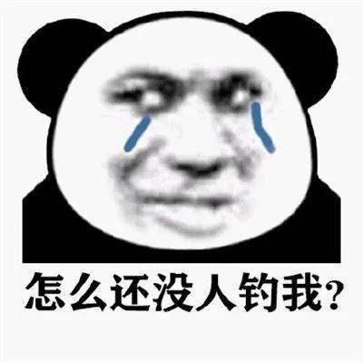 69e1635a40cd41059c8a8c0e6daadc59.jpeg