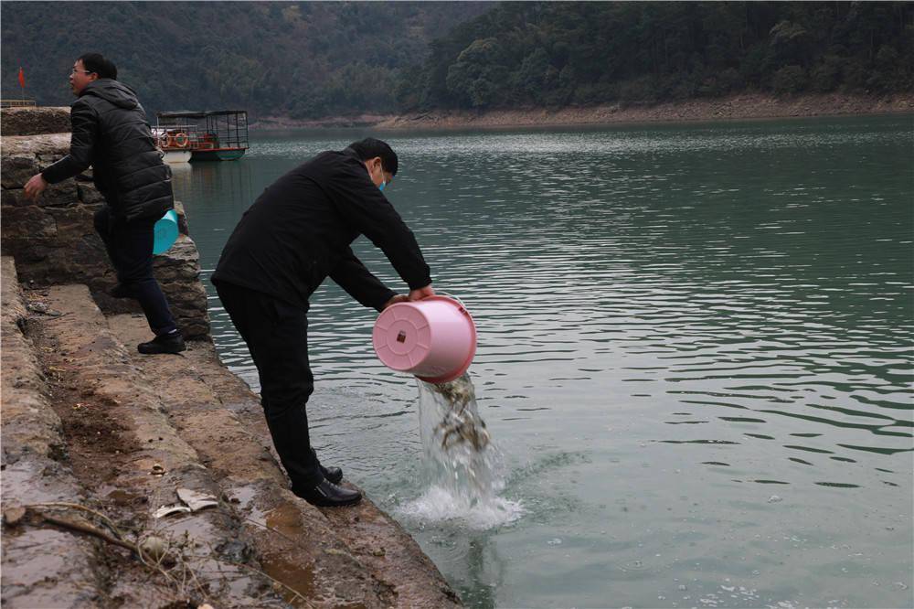 双牌县|双牌：强化水环境治理 守护一江碧水