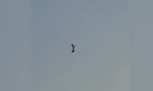 不同形状的ufo af6291f1b15d4469b9e8fe1092ccc90c.png