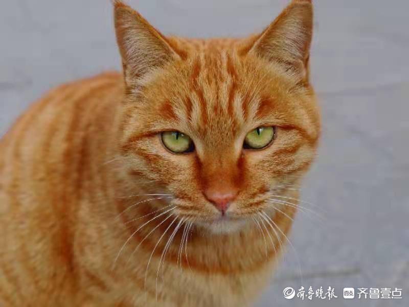李婧彤 摄努力成为自己的暖阳!献给所有努力备考的人.