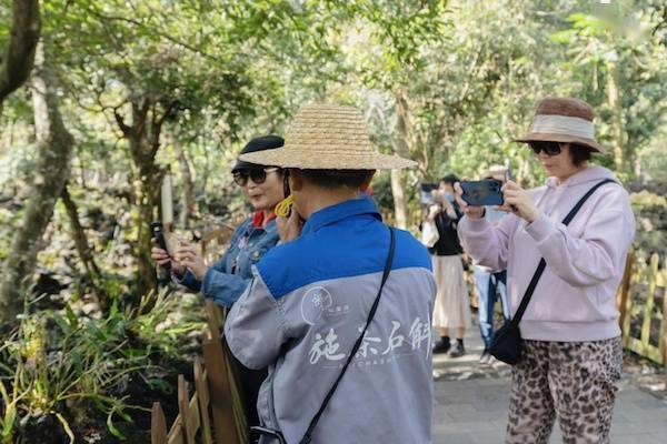 海口市|海口市秀英区推出四条欢乐节主题旅游路线