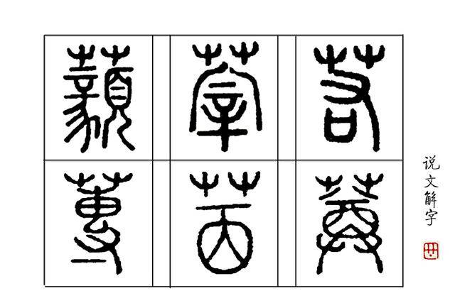 成语 望洋兴叹 典故里 望洋向若而叹 若 是什么 茱萸 本义 曾孙