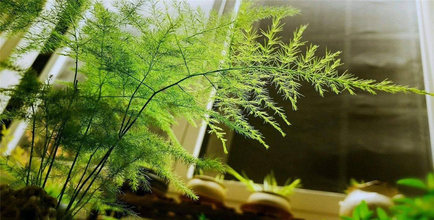 df8617eb3b954ac9a1766066de0ad569.jpeg