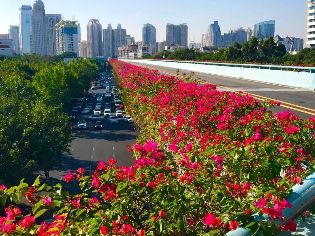 厦门中心花园图片