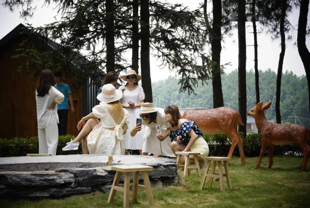 置身在纯粹的乡野之间来一场深度的互动夯卡苗寨民宿寻宝活动亲子植物