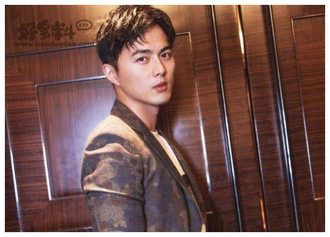 叶祖新和许凯对比 叶祖新为什么突然淡出大众视线_作品_观众_的发展