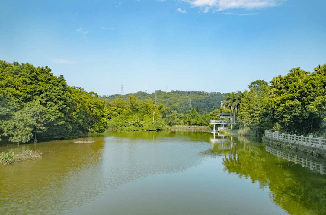 广东|藏不住了！梧桐山入选广东最美旅游目的地！3条路线赏遍美景！