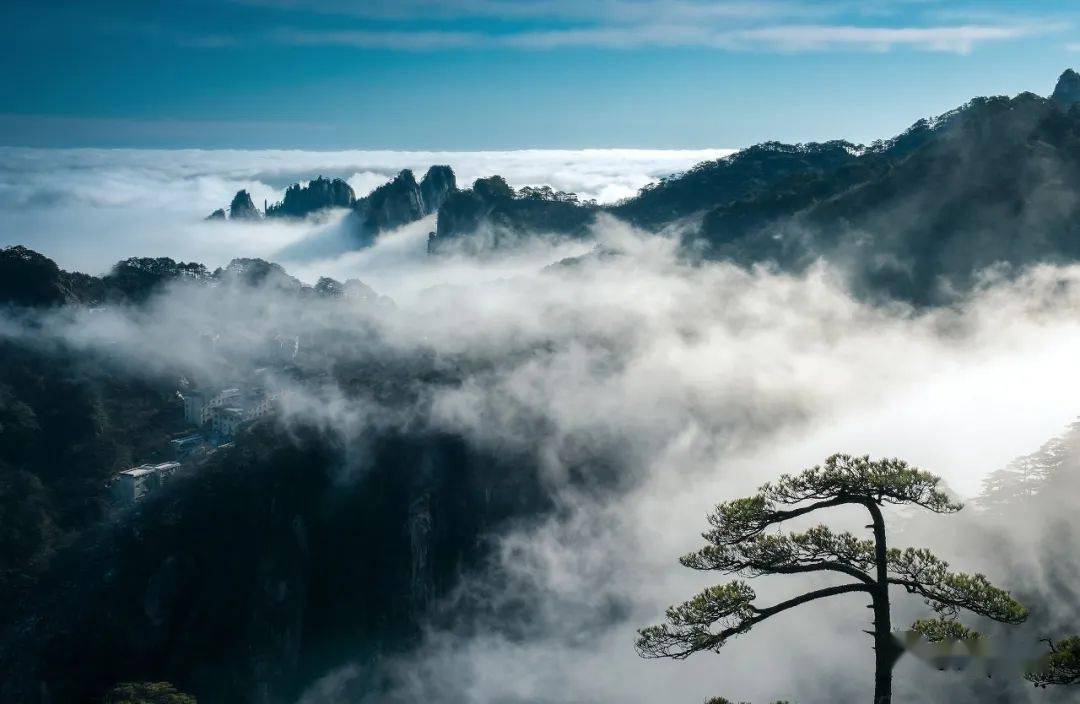 黄山云海 最美图片