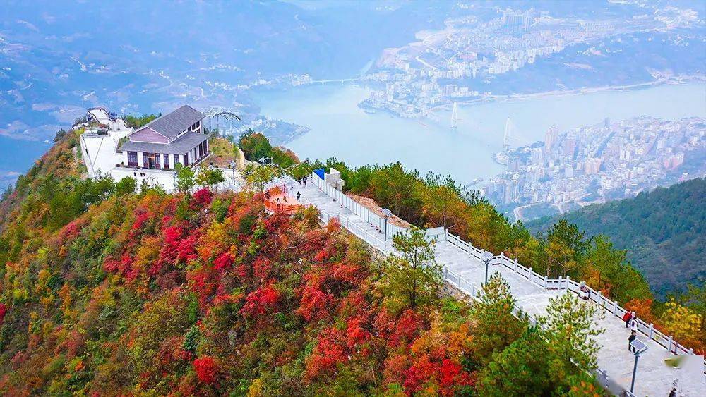 50元就购了巫峡口景区钜惠酬谢巴东市民