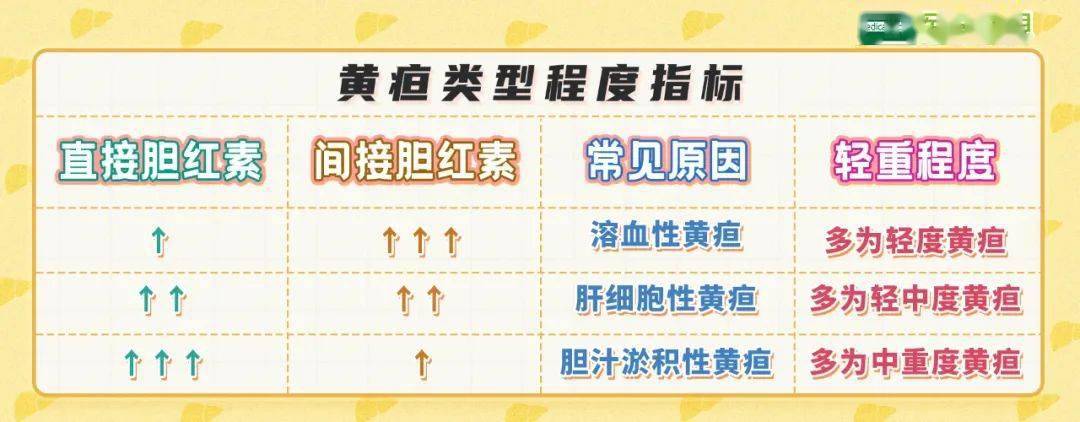 蛋白|肝功能检查中蛋白、胆红素、胆汁酸的变化，可能提示什么？（二）