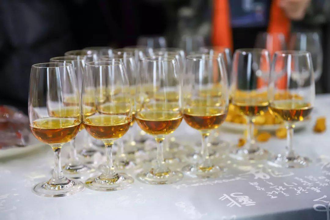 葡萄|“种”出来的葡萄酒