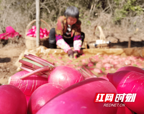 乡村|宁远：修通致富路 山村拔穷根