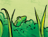 绘本|好玩好看更好听的音乐启蒙绘本，首选这套《听，是谁在开音乐会》