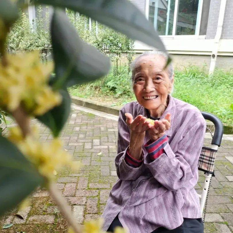 院舍轶事 | 鹤童陪您度四季_东北_绵竹市_老人