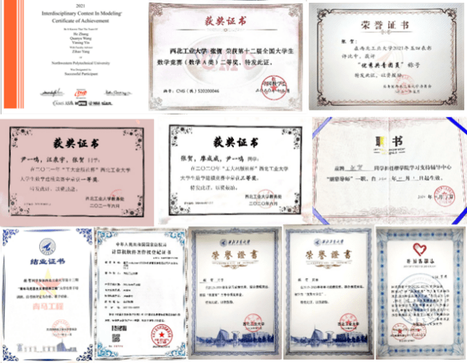 西工大优秀学子访谈张贺钻艰探微用青春追寻数学之美