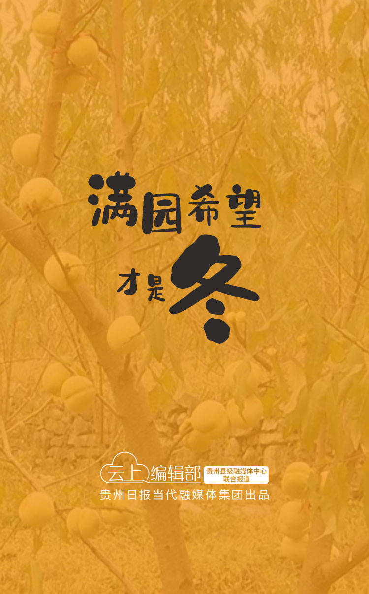 闵捷云周刊第71期｜黑的白的红的黄的紫的绿的蓝的灰的全在这里