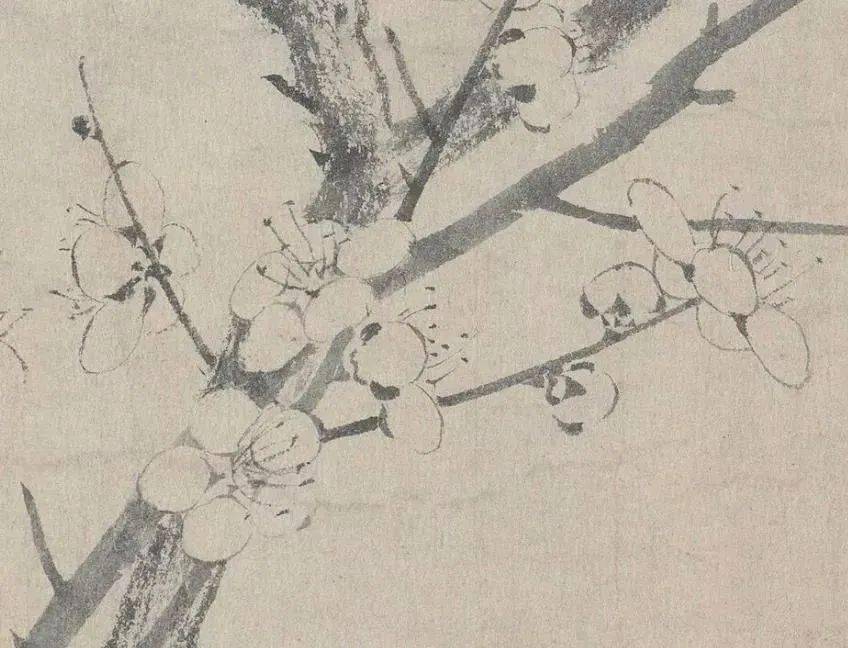 艺赏扬无咎笔下的墨梅图极尽朴素的美