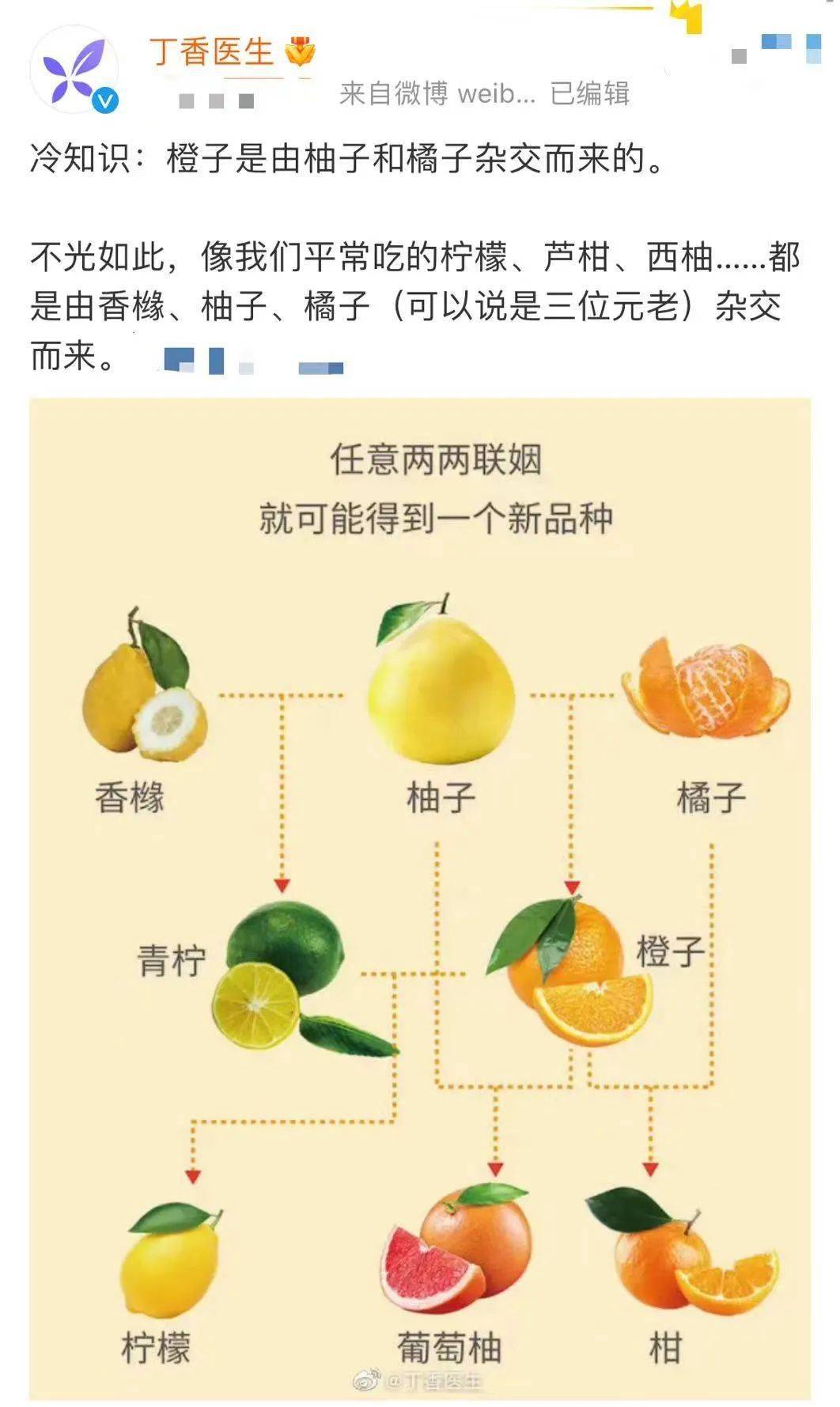 你知道柠檬橙子西柚是怎么来的吗看完只想说贵圈真乱