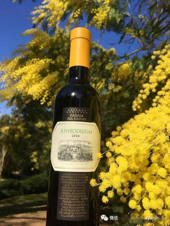 与苏玳托卡伊齐名意大利甜渣代表作passito限量特价抢购