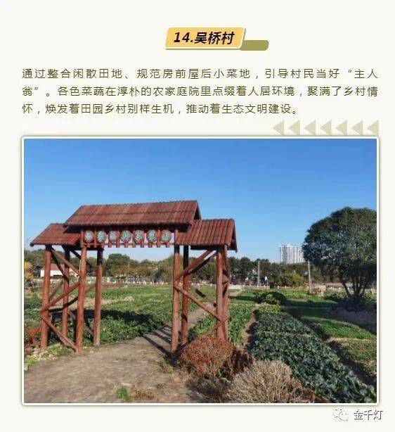 所有人,动动手指,为吴桥村"美丽菜园"点赞!