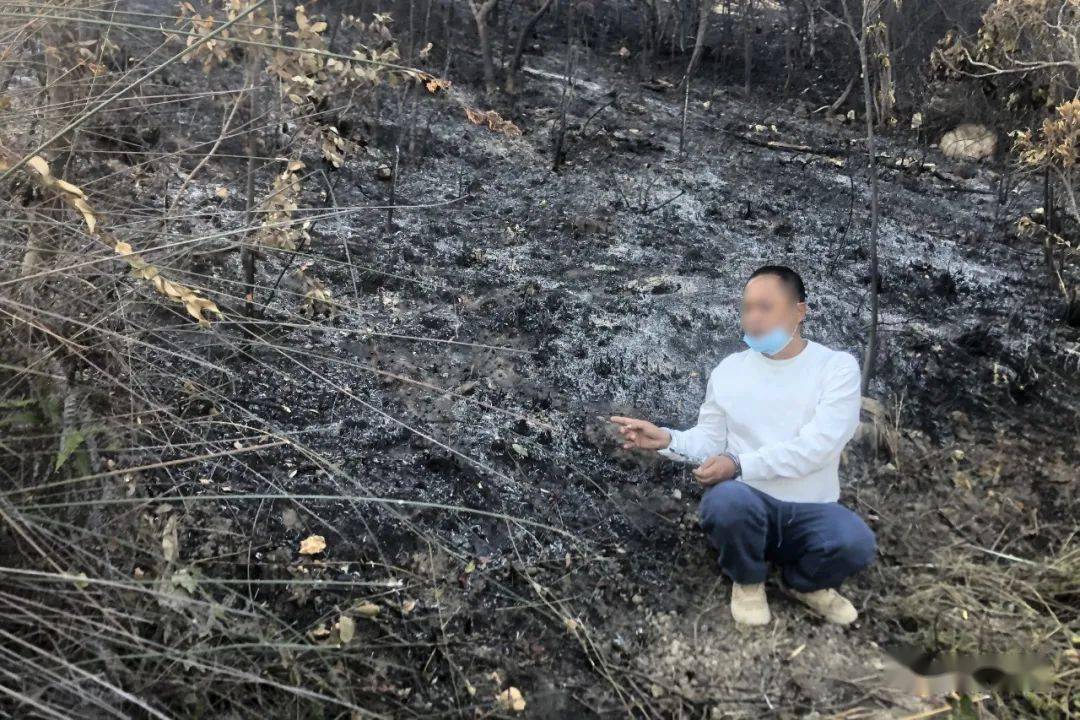 普宁大南山森林火灾案已侦破3名男子被刑拘