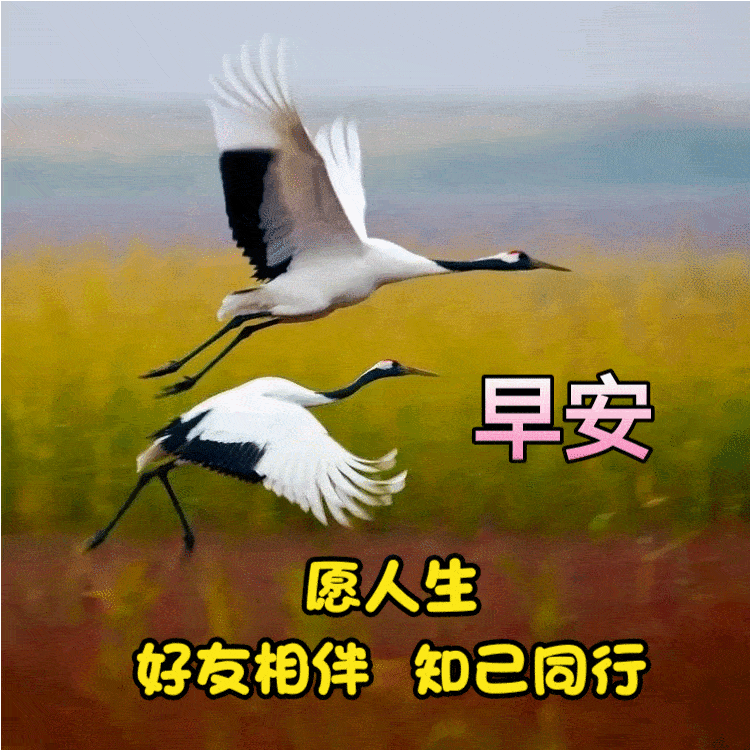 【早安馨语】早上好!聊天表情图库送给您,存起来慢慢用!_表情