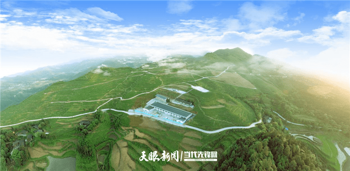 【四新四化蹲点采访】余庆构皮滩镇:茶香飘满振兴路