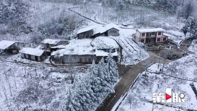 之間開始持續降雪開州區滿月鎮雙坪村從11號凌晨受降溫降雨天氣的影響