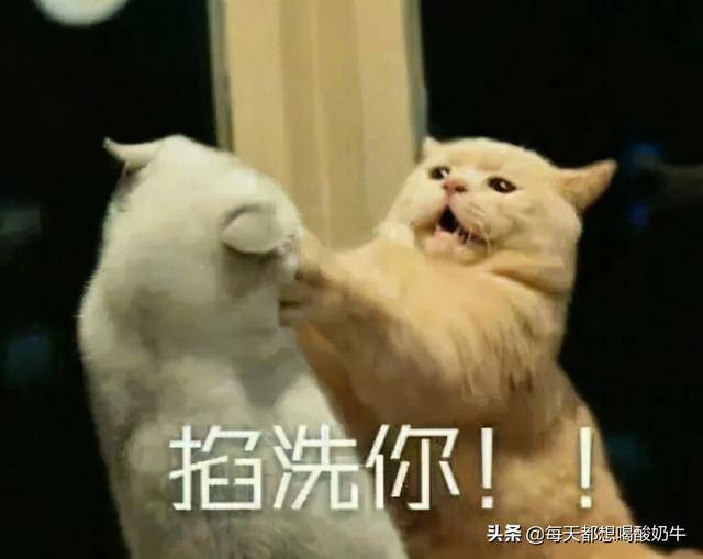 清扬玻尿酸去屑对小孩头皮好不好