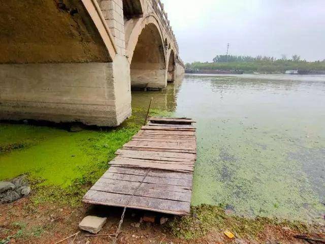 丰县沙庄老桥的桥洞里,住着一户人家_主人_生活_小船