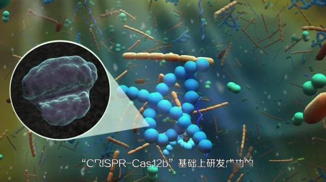 【晒晒咱的国之重器10】短视频丨基因编辑的精准“剪刀”