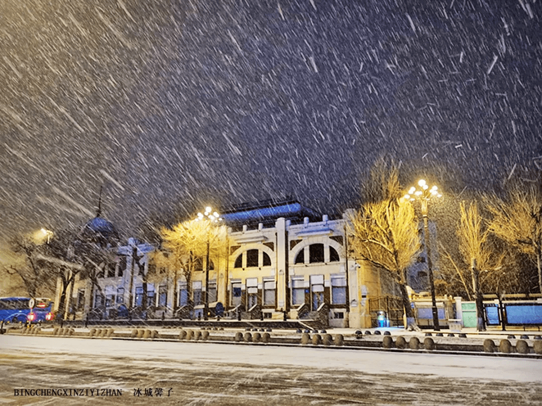 哈尔滨金色雪花图片