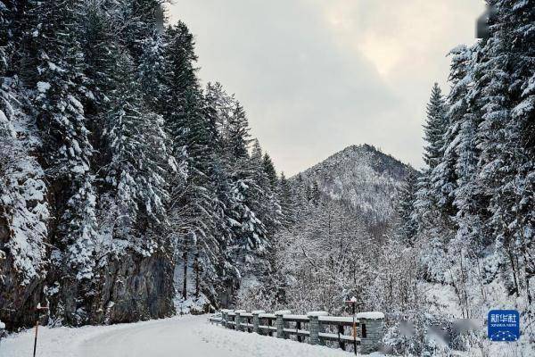 雪後奧地利山區美如畫 國際 第1張