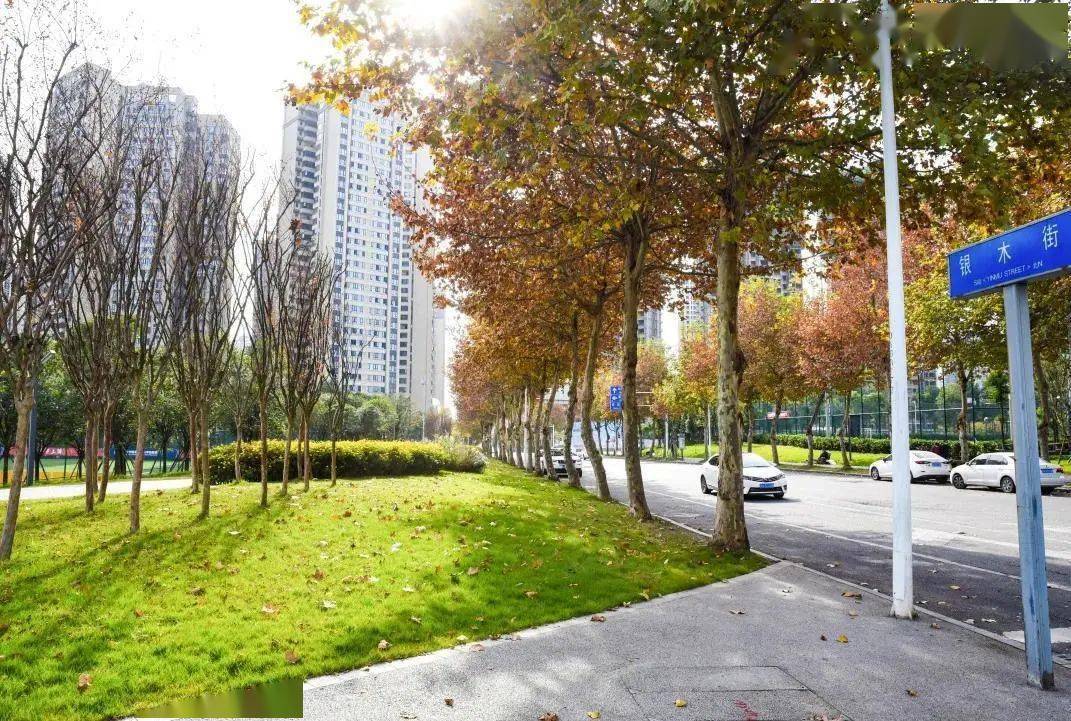 兴城足球公园拆违增绿前后然而令人意想不到的是,兴城足球公园的"前身