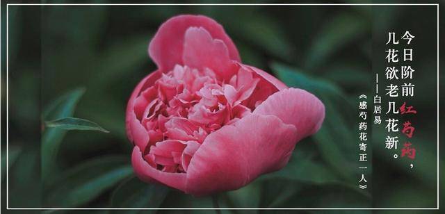 故事 3年婚姻感情变淡她主动提离婚 去丈夫公司一趟她改了主意 曲闻 商陆 闻溪