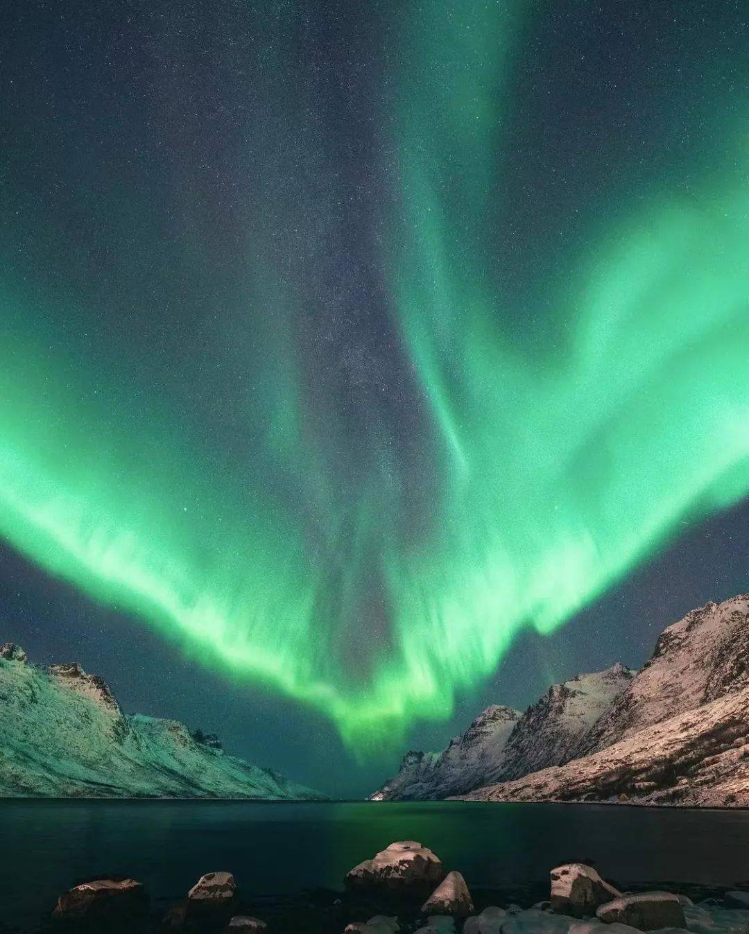 自然环境Pantone发布了2022年度流行色——长春花蓝