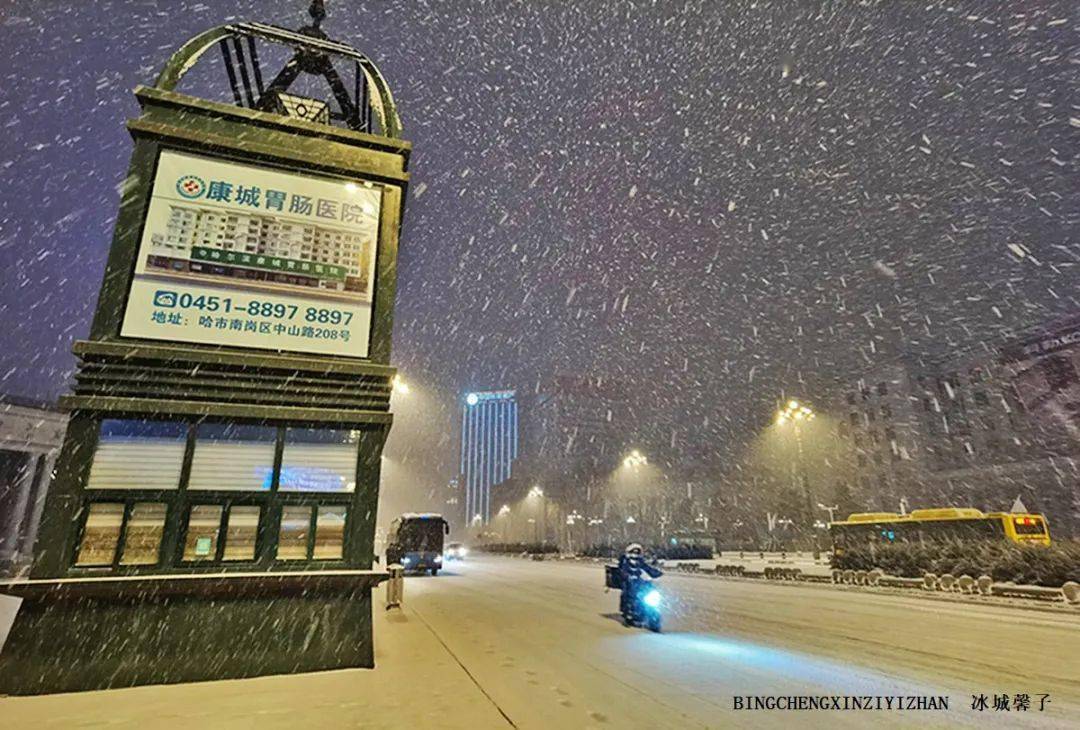 昨晚的鹅毛大雪有多美风雪中的哈尔滨红军街和中山路