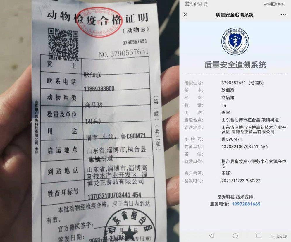 淄博首张电子化便携式动物检疫合格证明落户桓台_养殖户_组织_数据