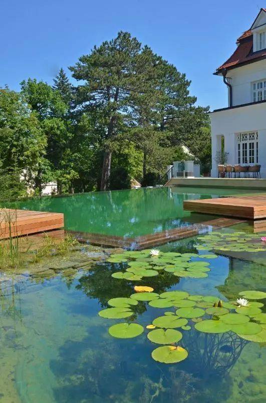 精选32个别墅花园养鱼池设计方案