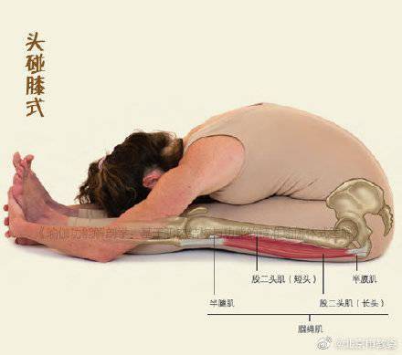 压力|6个瑜伽动作缓解一天疲惫