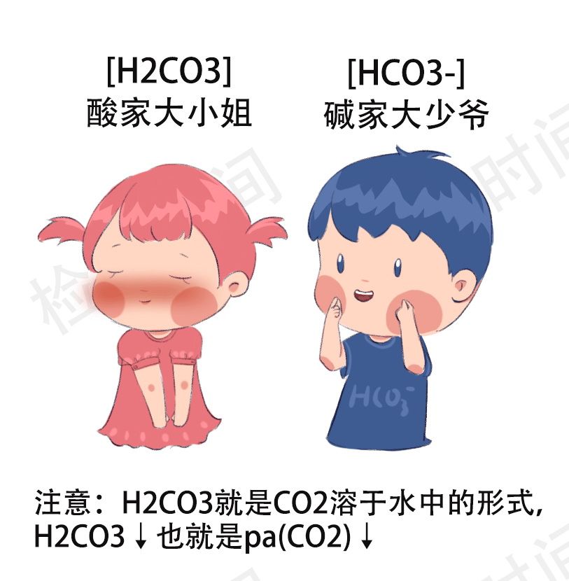 血气分析不会看史上最好记漫画图解请收好