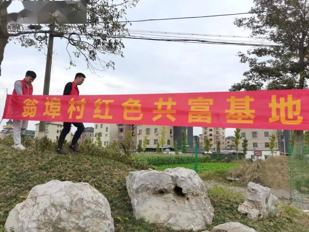 以"新"促新——翁埠村 "四共四筹"铸就新居民"共富同行路"_许村镇