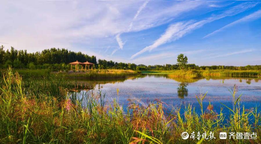 东明黄河国家湿地公园打造生态实力名片