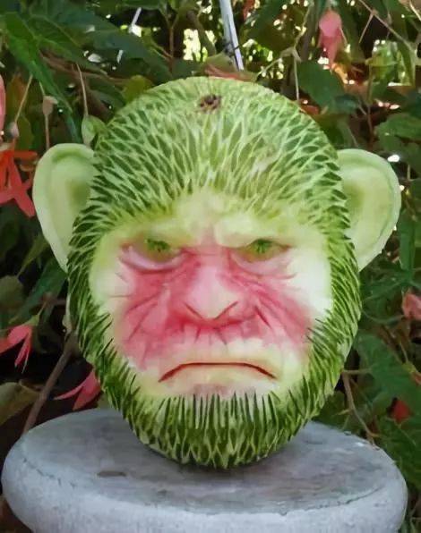 的农村壮汉厨房的残渣碎菜都能给你拼个头出来这南瓜看起来有点吓人啊