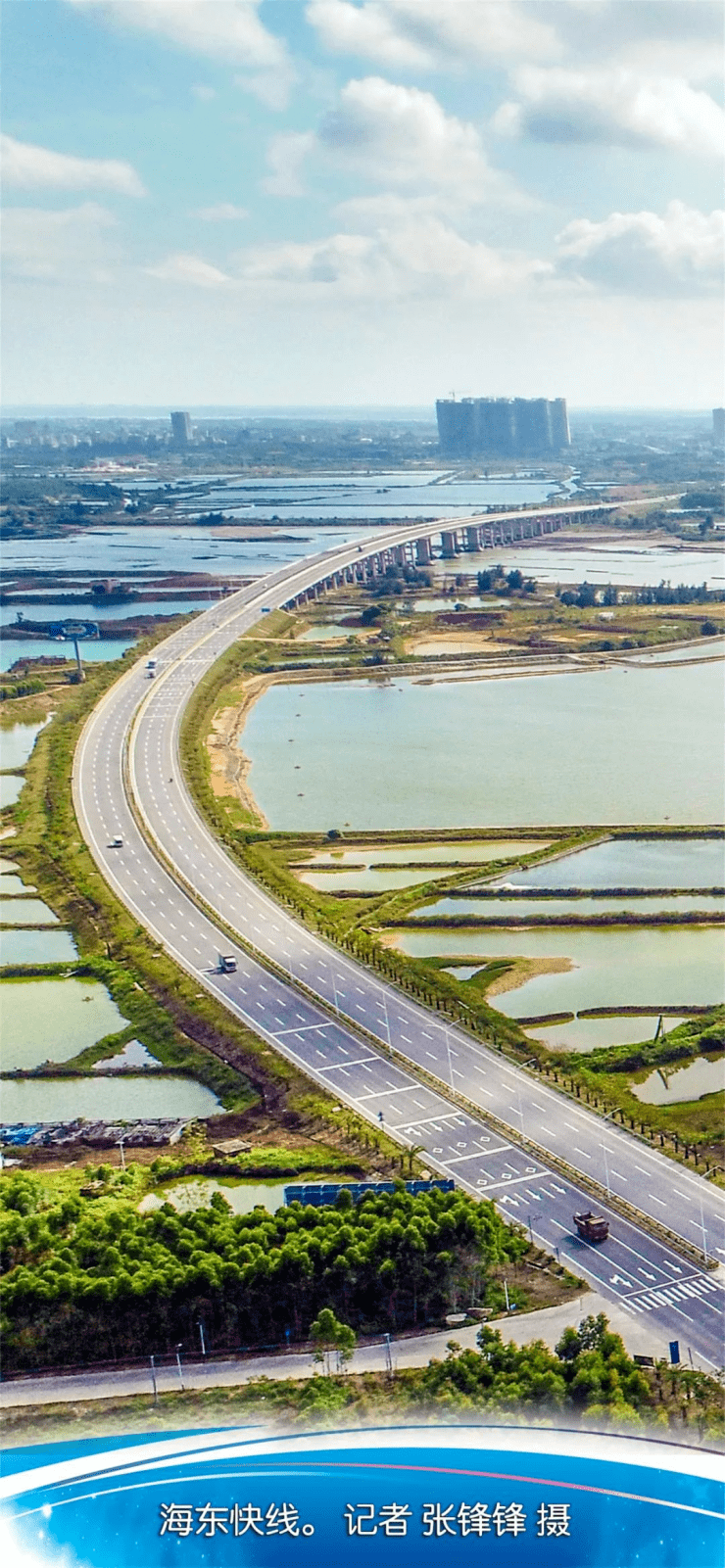 硬核!打造高水平全国性综合交通枢纽!湛江这么干……(图6)